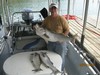(09/20/2016) - Nice Striped Bass